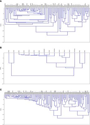 Existence of viable Mycobacterium leprae in natural environment and its genetic profiling in a leprosy endemic region